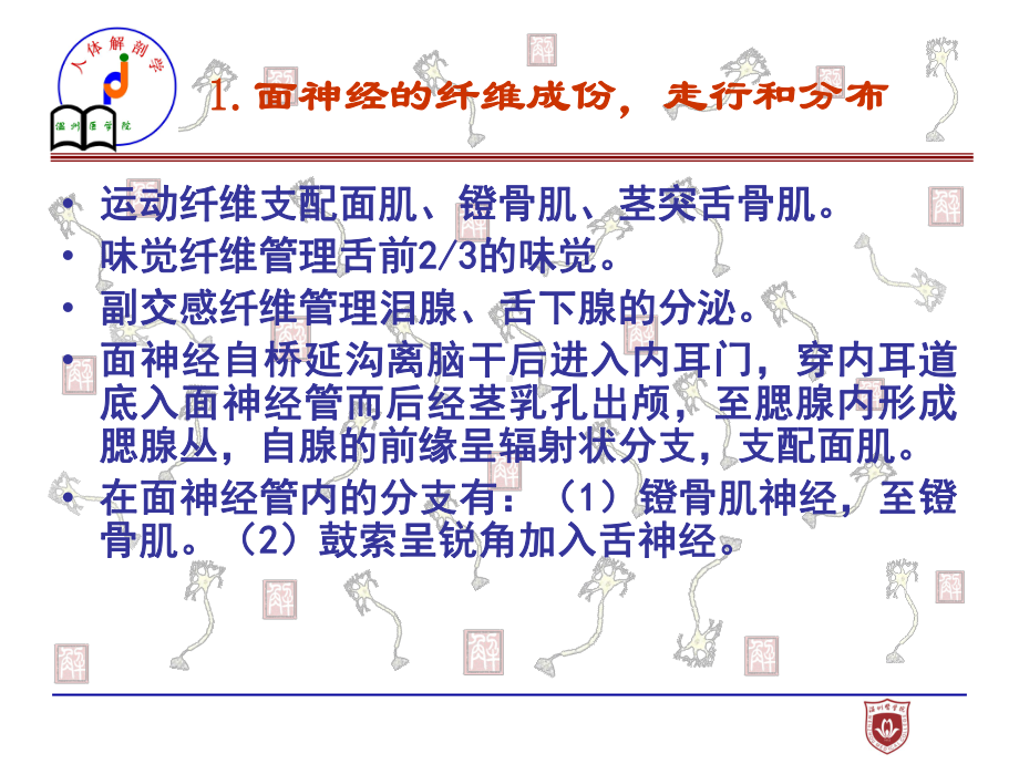 神经系统疾病解剖课件.ppt_第3页