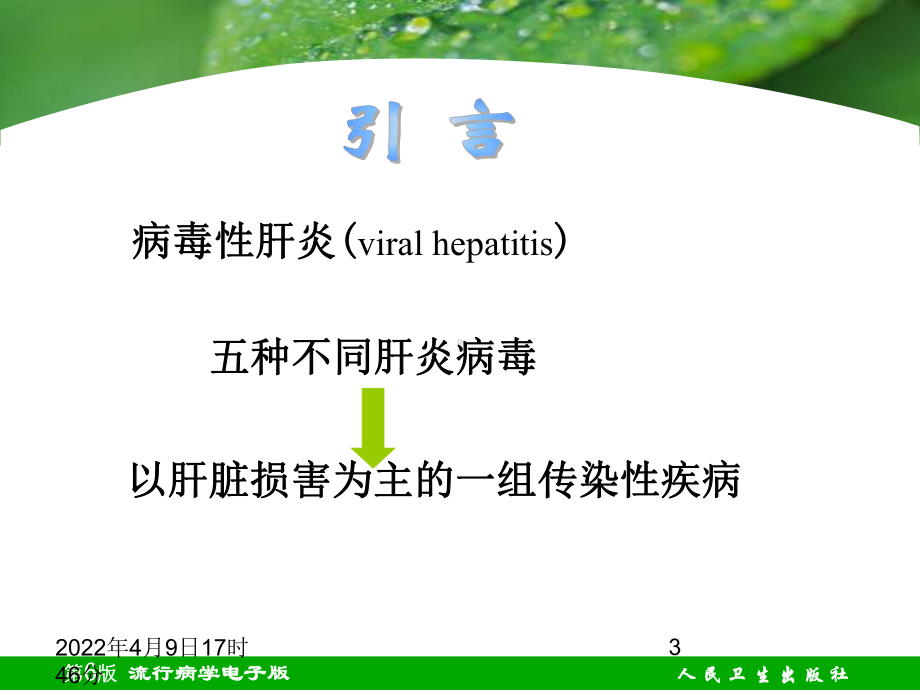 第二十三章病毒性肝炎课件.ppt_第3页