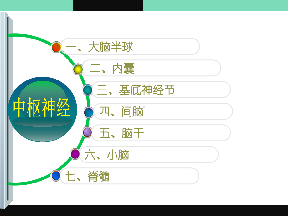 中枢神经系统的解剖、生理及病损的定位诊断-pp课件.ppt_第3页