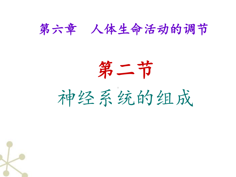 神经系统的组成-ppt课件.ppt_第2页