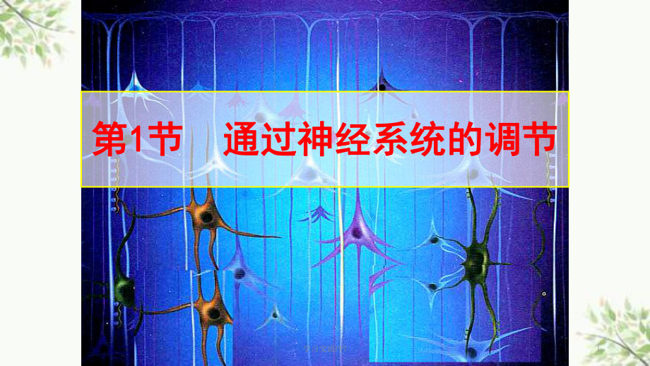 神经系统的结构和功能课件.ppt_第1页