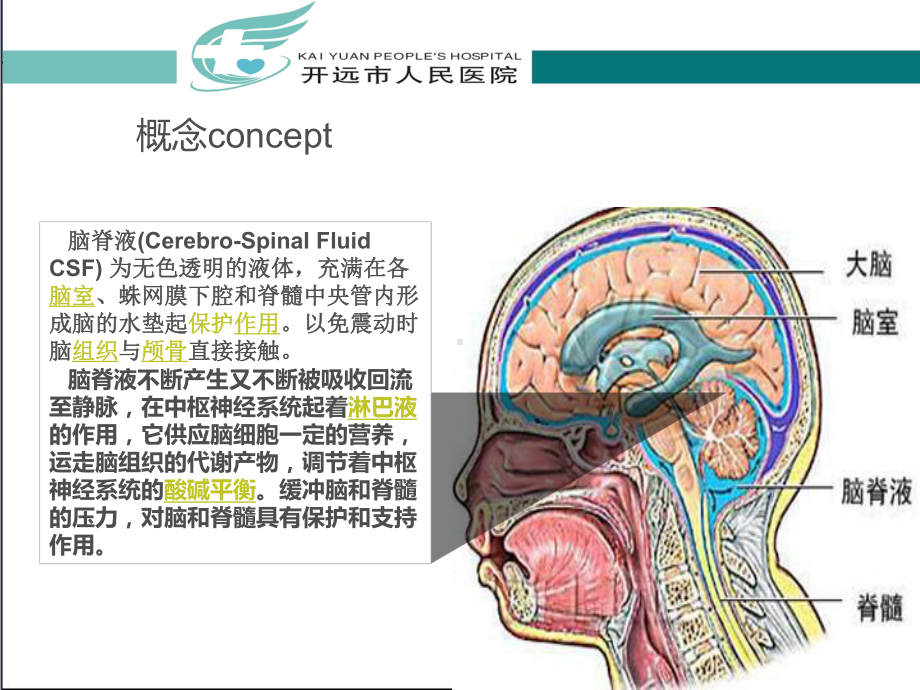 医学课件脑脊液漏护理查房.ppt_第1页