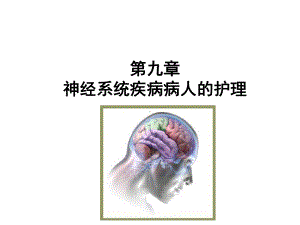 神经系统-第一节课件.ppt