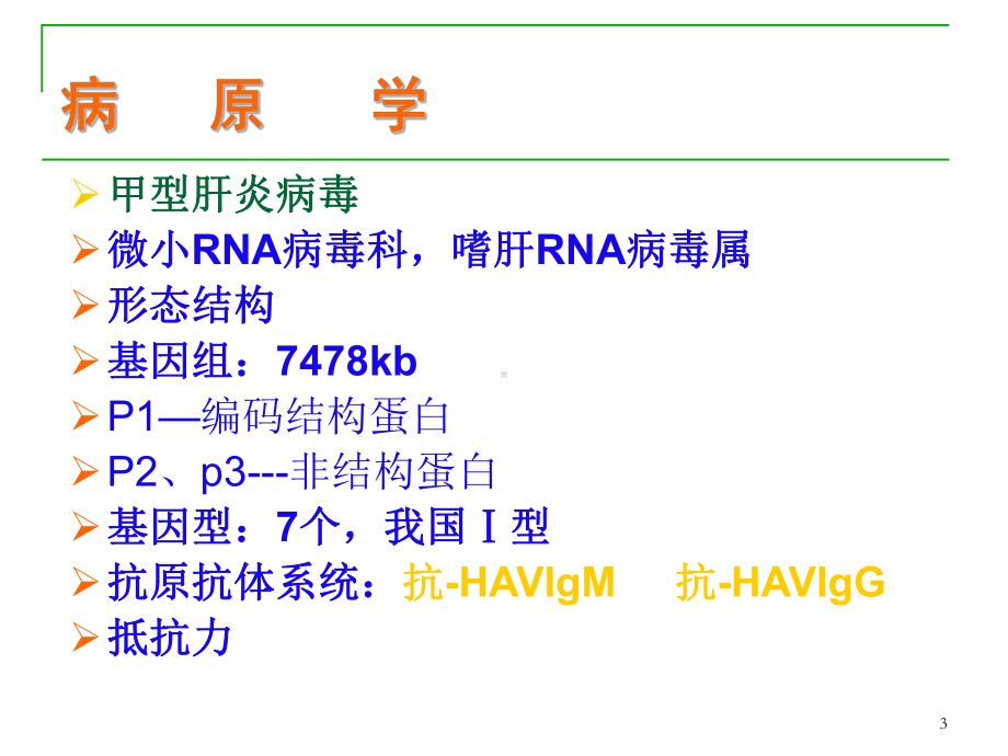 病毒性肝炎PPT课件.ppt_第3页