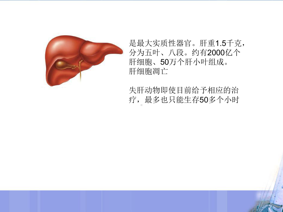 肿瘤化疗肝损伤及保肝治疗课件.ppt_第2页