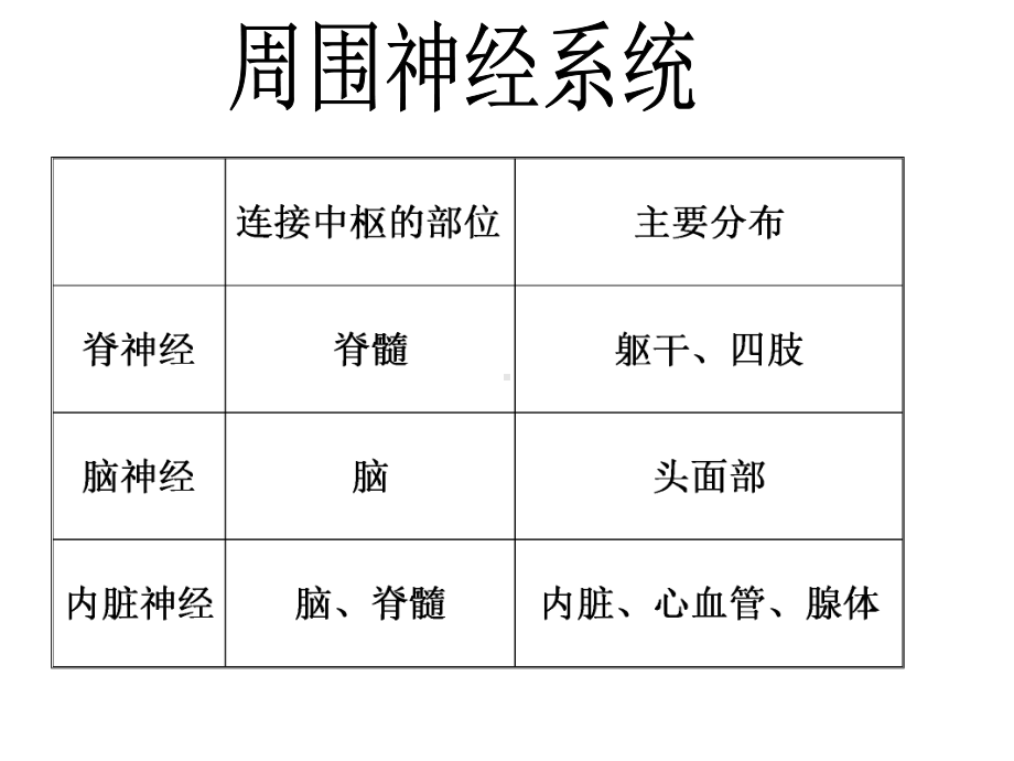 第九章周围神经系统课件.ppt_第1页