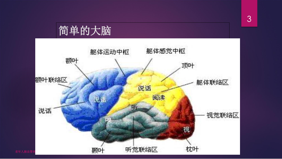 老年人脑血管病的预防ppt课件.ppt_第3页