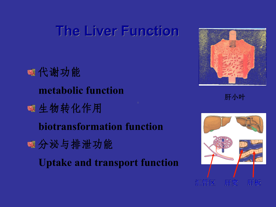 诊断-肝病常用实验室检查课件.ppt_第2页