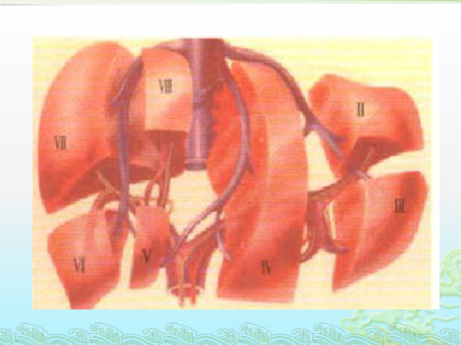 肝脏8段分法-CT影像表现课件.pptx_第3页