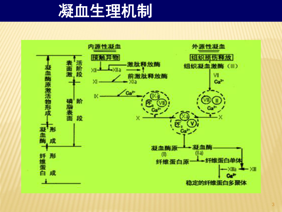 急性脑梗塞溶栓PPT课件.ppt_第3页