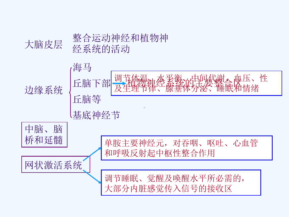 中枢神经系统药物解析课件.ppt_第2页