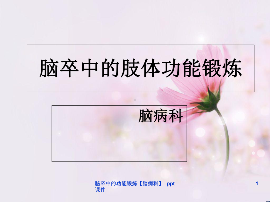 脑卒中的功能锻炼脑病科-ppt课件.ppt_第1页