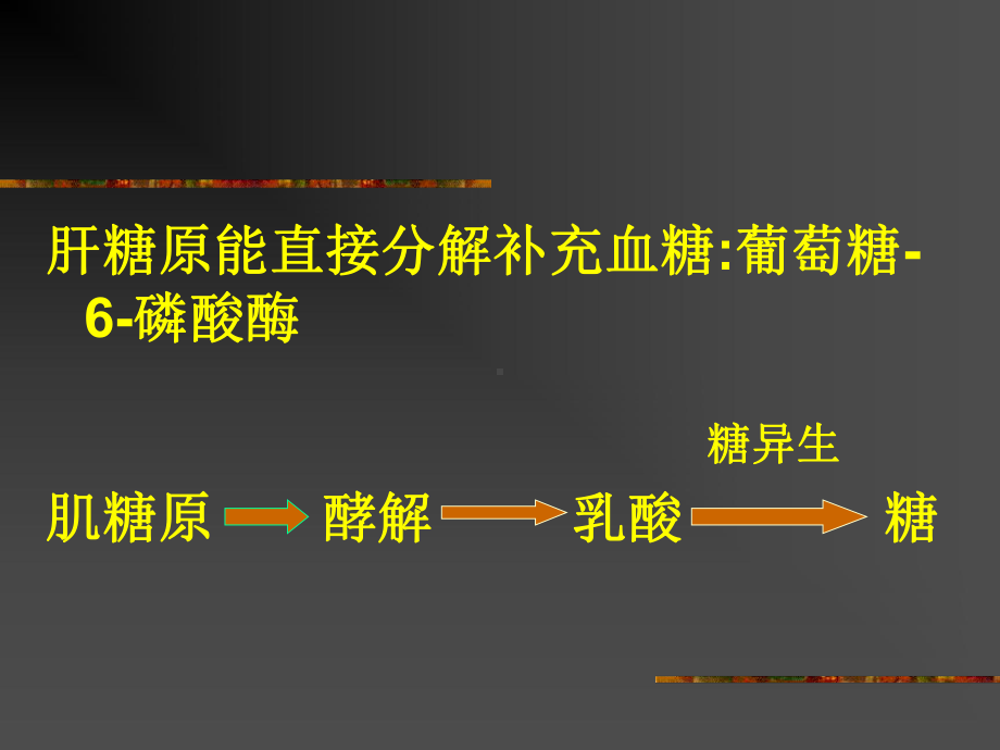 肝脏在物质代谢中的作用-课件.ppt_第3页