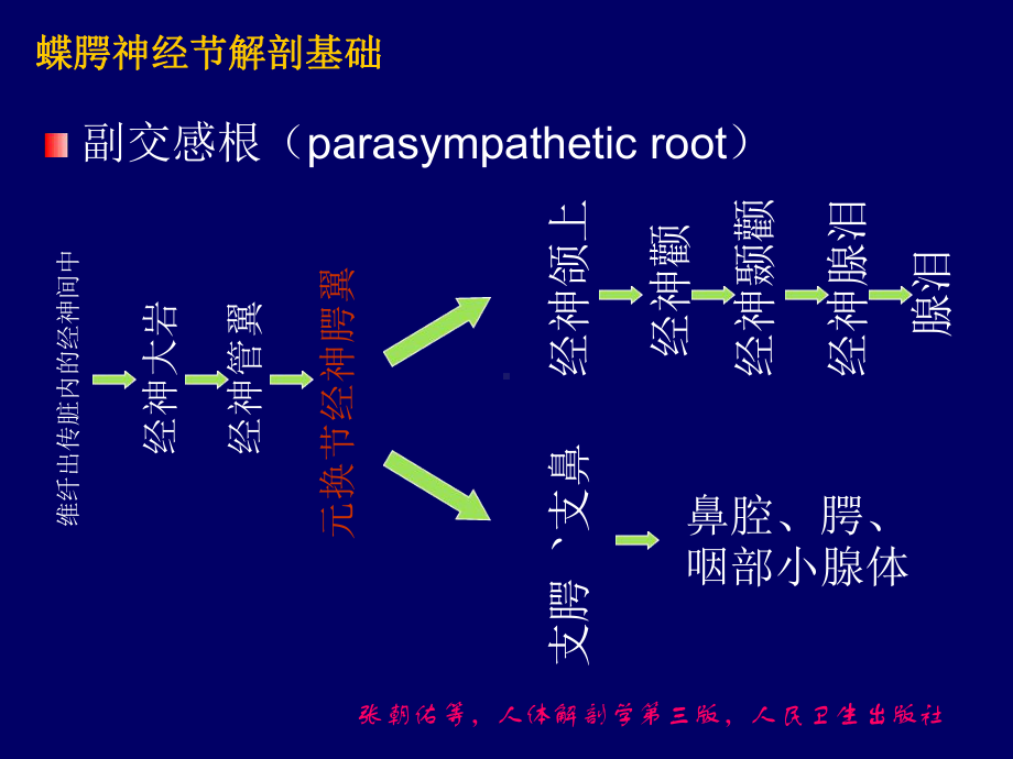 蝶腭神经节射频热凝治疗讲解课件.ppt_第3页