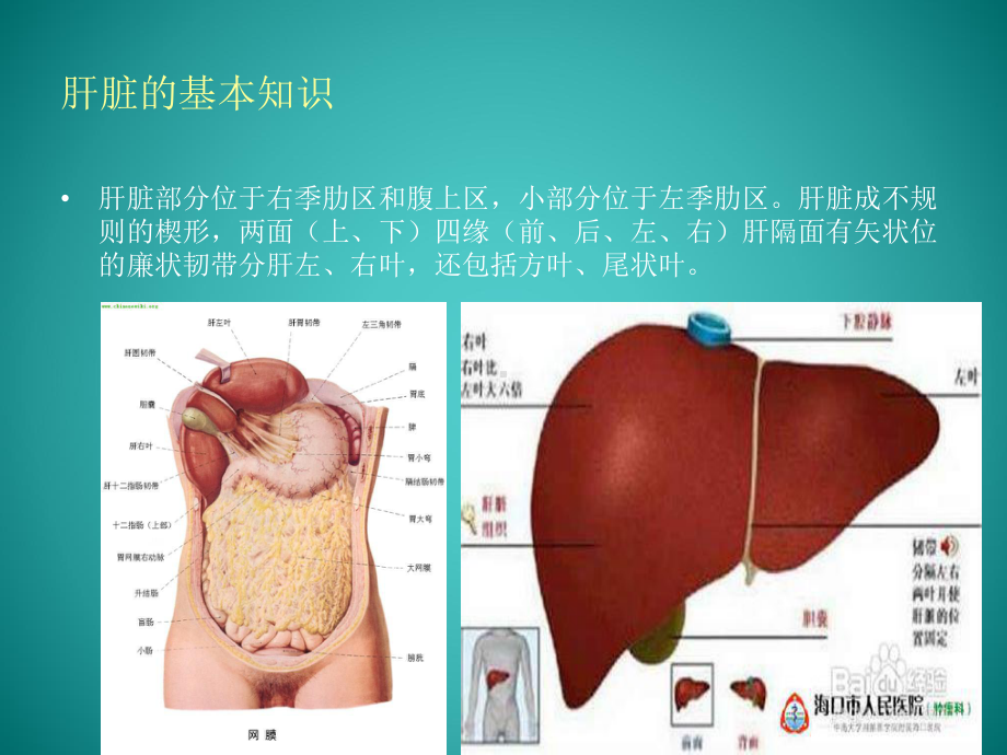 肝硬化护理查房.课件.ppt_第3页