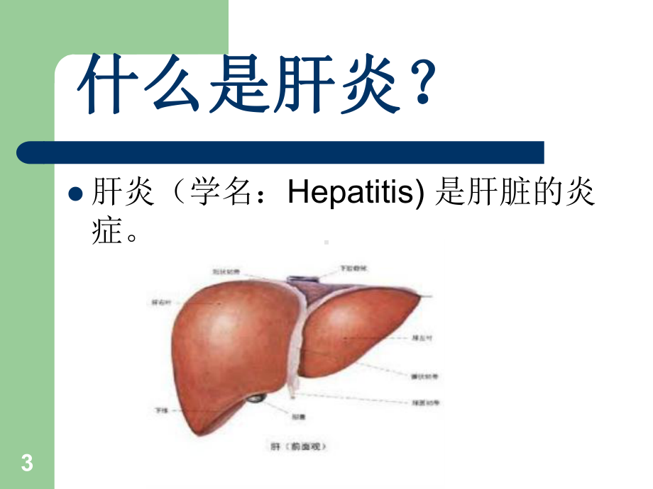 肝炎基础知识PPT课件.ppt_第3页