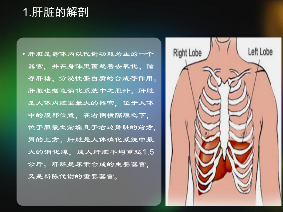 肝脏疾病的超声诊断PPT课件.pptx_第3页