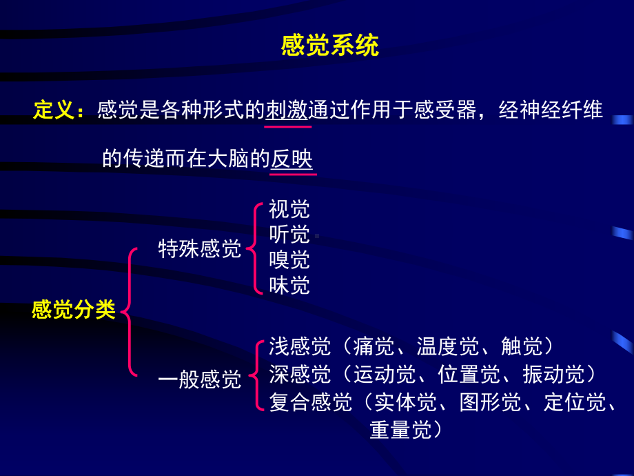 神经病学课件 神经系统损害的定位诊断.ppt_第2页