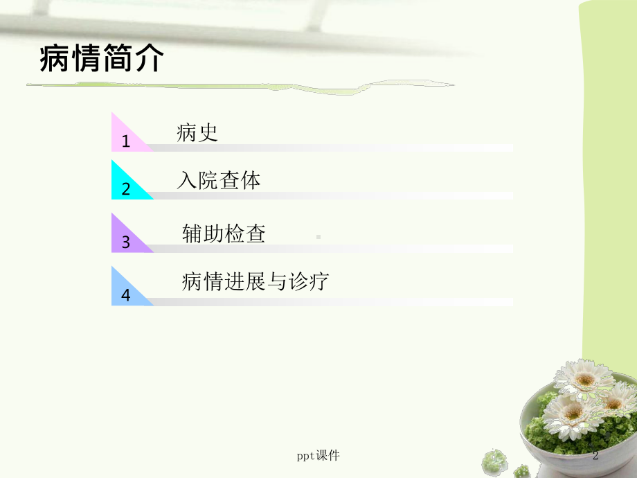 脑出血护理查房-ppt课件.ppt_第2页