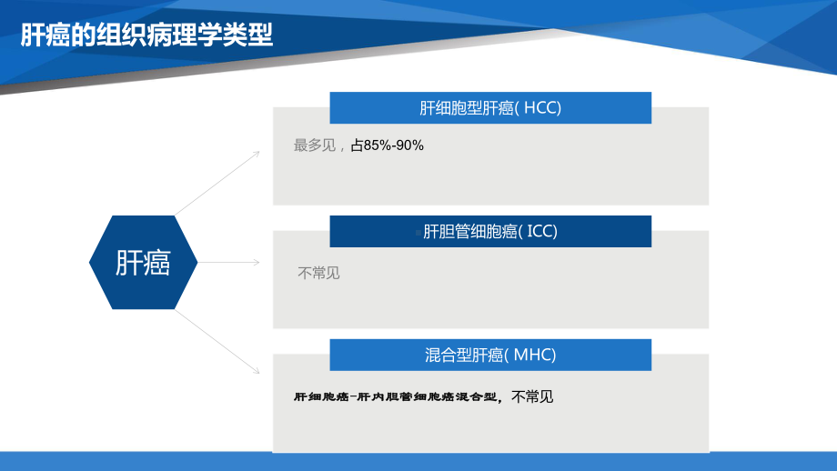 肝癌-靶向治疗的护理PPT课件.ppt_第3页