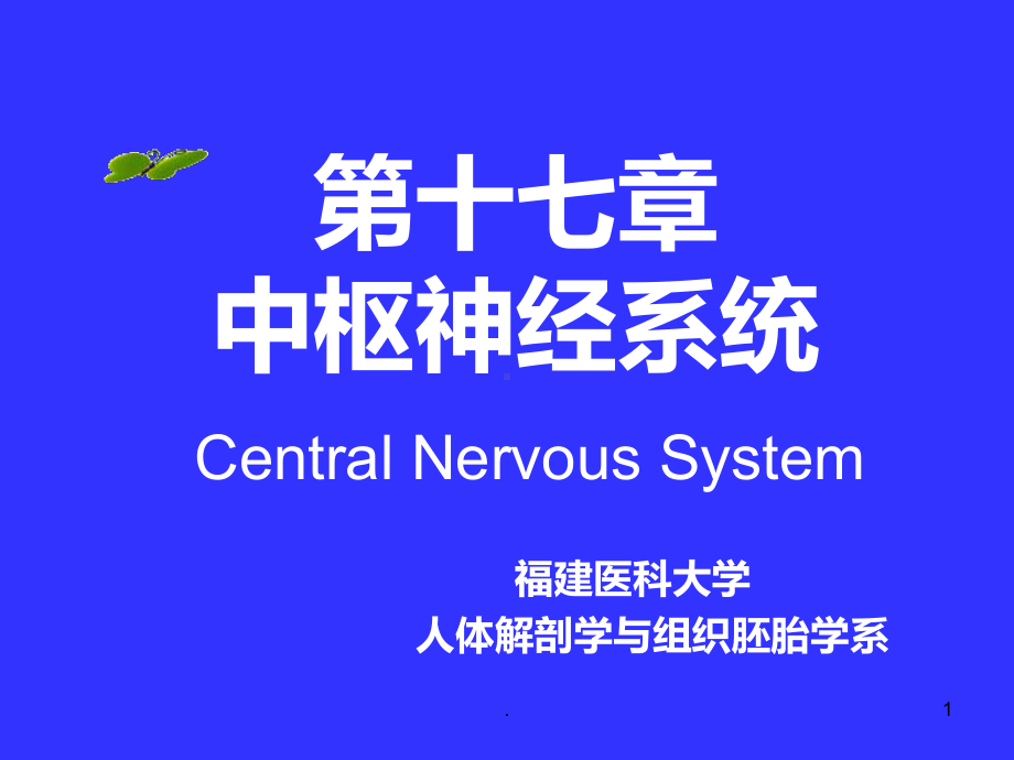 中枢神经系统系统解剖学PPT课件.ppt_第1页