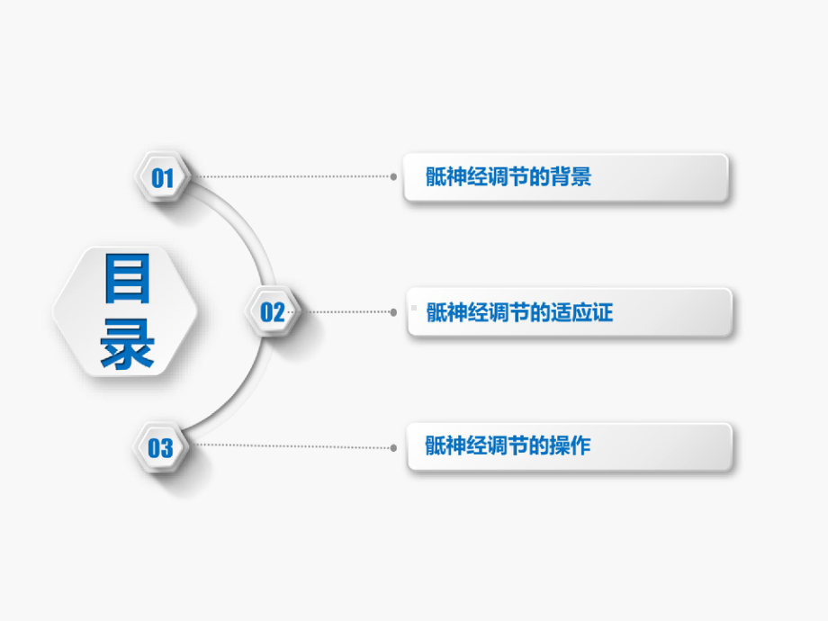 骶神经调节治疗盆底功能障碍性疾病课件.pptx_第2页