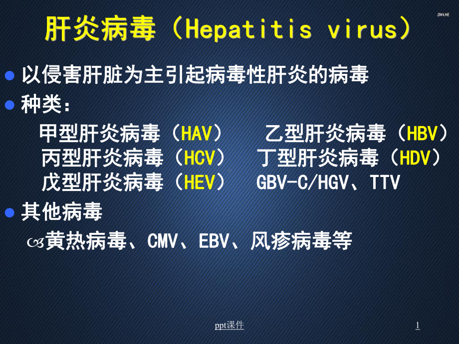 肝炎病毒-ppt课件.ppt_第1页