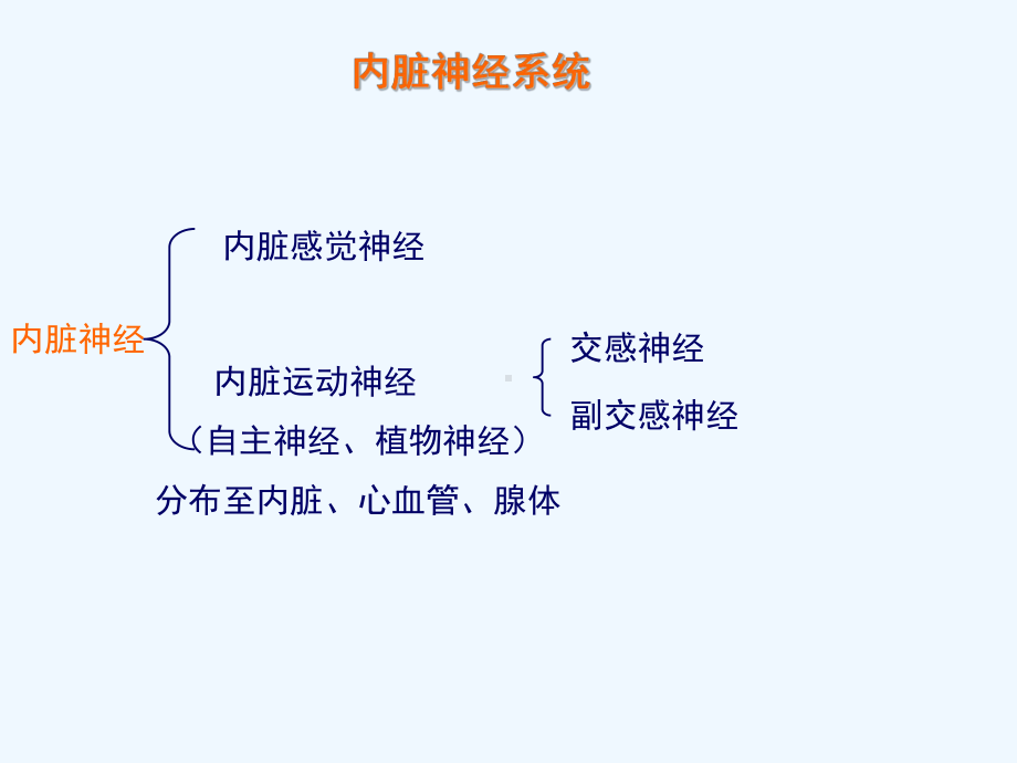 植物神经系统解剖学课件.ppt_第1页