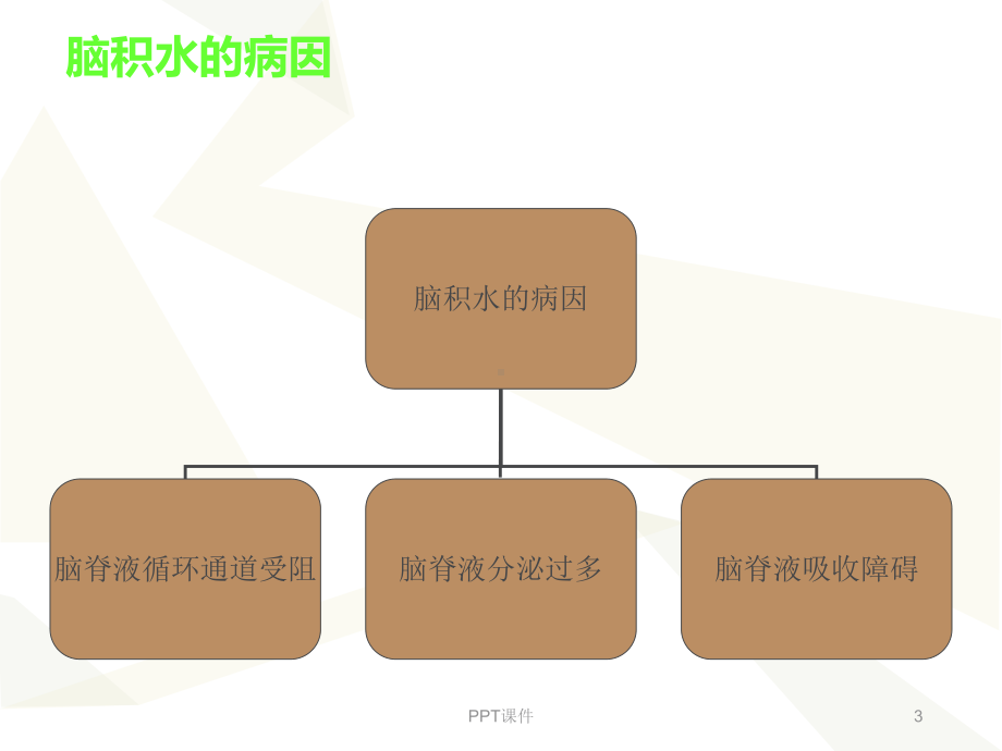 脑积水-ppt课件.ppt_第3页