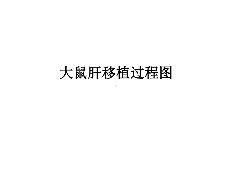 大鼠肝移植过程图.课件.ppt_第1页