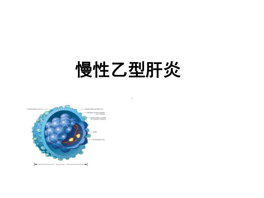 慢性乙型肝炎PPT课件1.ppt_第1页