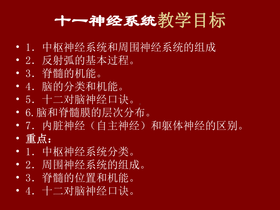 动物解剖学之十一-神经系统课件.ppt_第1页