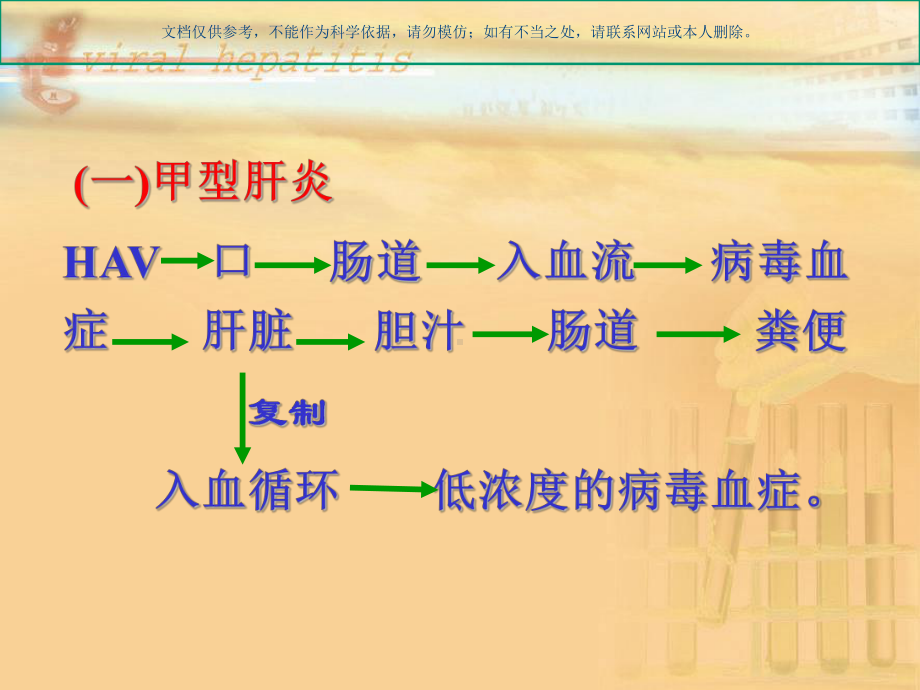 病毒性肝炎发病机制课件.ppt_第1页