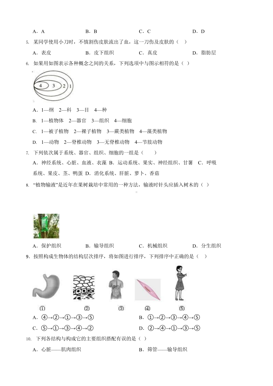 中考科学第一轮专题复习：组织、器官和系统.pptx_第2页