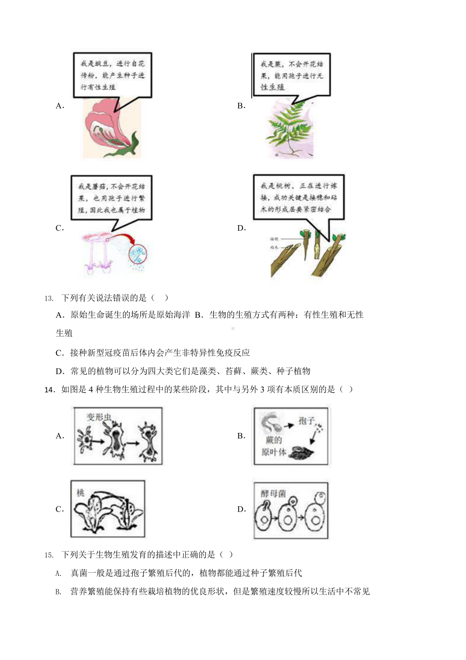 中考科学第一轮专题复习：常见的植物.pptx_第3页