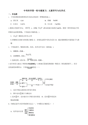 中考科学第一轮专题复习：元素符号与化学式.pptx