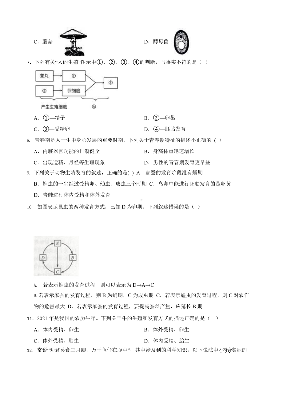 中考科学第一轮专题复习：生命的延续和进化.pptx_第2页