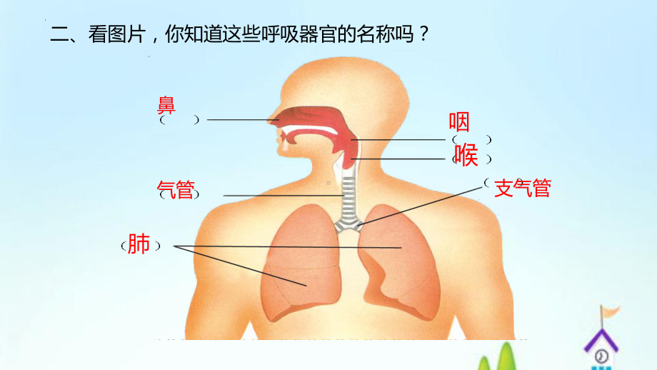 2022冀人版四年级下册科学12呼吸与健康ppt课件.pptx_第3页