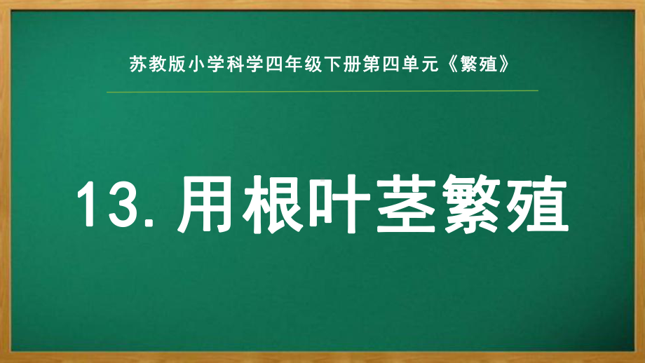 2022苏教版四年级下册科学4.13《用根、茎、叶繁殖》 ppt课件.pptx_第1页