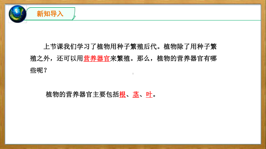 2022苏教版四年级下册科学4.13《用根、茎、叶繁殖》 ppt课件.pptx_第2页