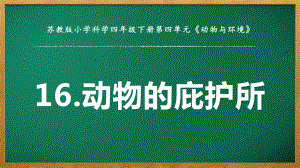 2022苏教版四年级下册科学5.16《动物的庇护所》 ppt课件.pptx