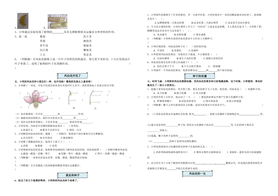 2022教科版四年级下册科学第一单元植物的生长变化 单元练习.doc_第2页