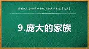 2022苏教版四年级下册科学3.9《庞大的“家族”》 ppt课件.pptx