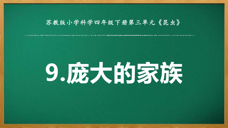 2022苏教版四年级下册科学3.9《庞大的“家族”》 ppt课件.pptx_第1页