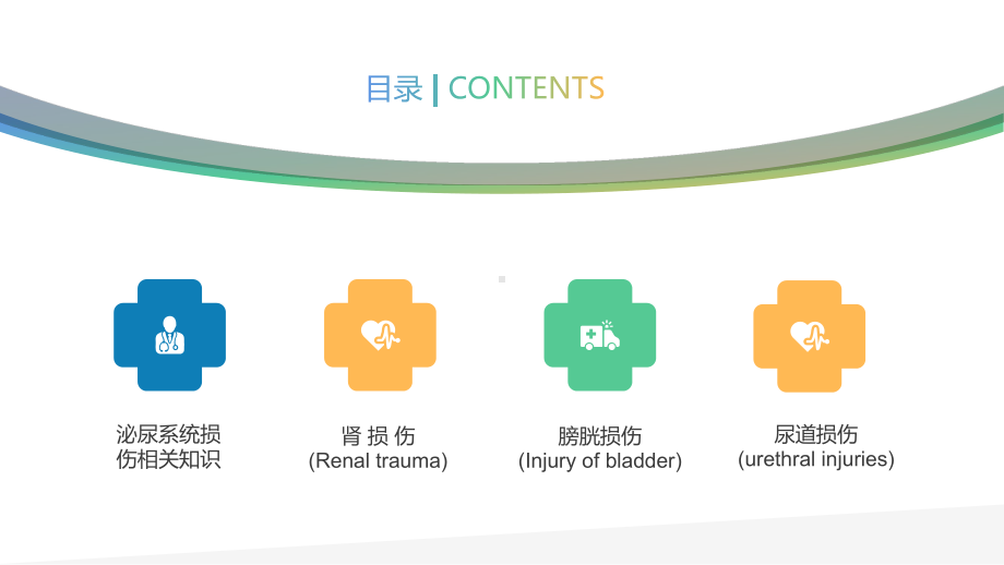 泌尿系统损伤相关知识最新图文PPT课件模板.pptx_第2页