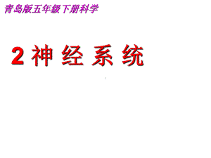 2022青岛版（六三制）五年级下册科学2《神经系统》ppt课件.pptx