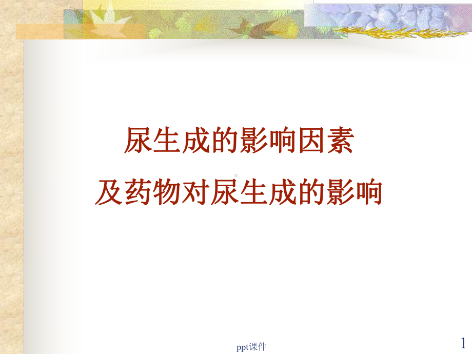 影响尿生成的因素实验-ppt课件.ppt_第1页