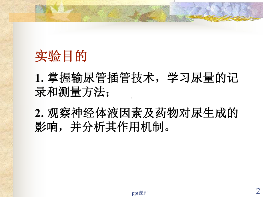 影响尿生成的因素实验-ppt课件.ppt_第2页