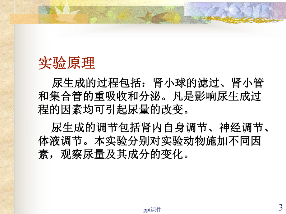 影响尿生成的因素实验-ppt课件.ppt_第3页