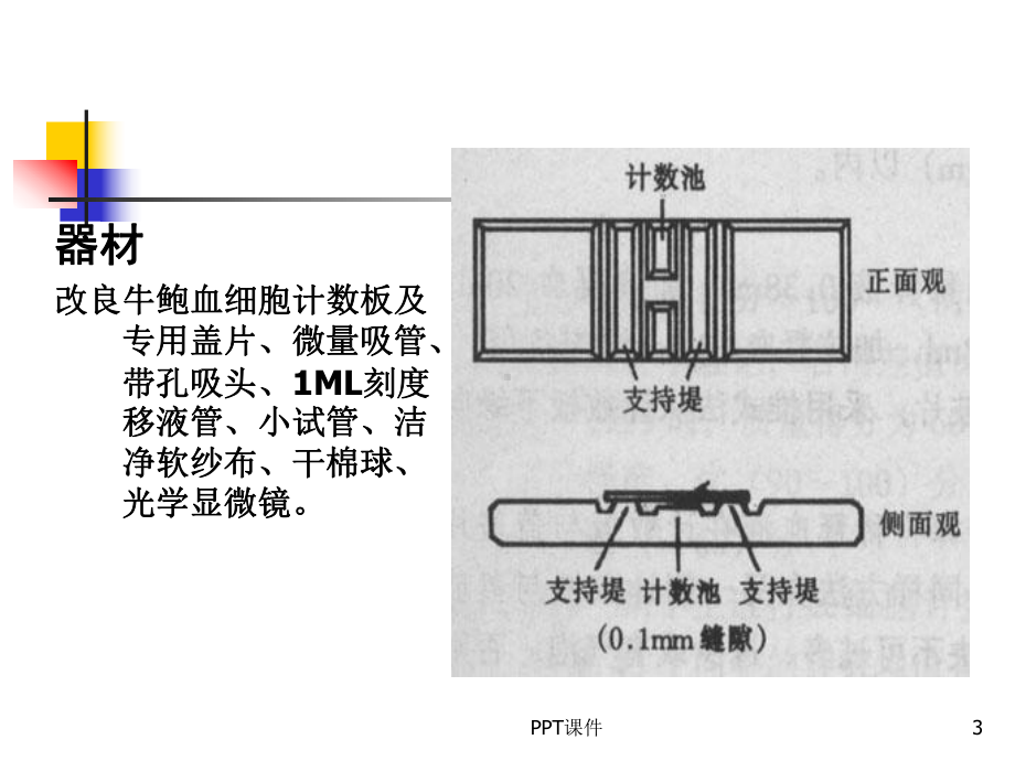 牛鲍计数板的使用-ppt课件.ppt_第3页